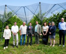 Agricultura Moldovei, explorată de ministrul Alimentației, Afacerilor Rurale și Protecției Consumatorilor din landul Baden-Württemberg, Germania