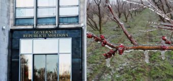 PSDE cere măsuri pentru agricultorii afectați de calamitățile naturale
