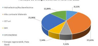 Sursele de procurare a energiei electrice în luna mai