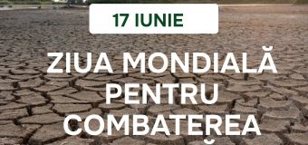 Astăzi marcăm  Ziua Mondială pentru Combaterea Deșertificării și Secetei