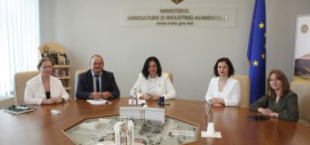 Investiții de peste 900 mii euro pentru dezvoltarea cercetării aplicate în agricultură