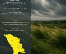 Cog Galben de intensificări ale vântului