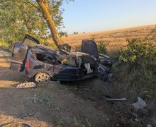 2 persoane și-au pierdut viața într-un accident rutier
