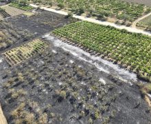 Focare de incendii de vegetație în mai multe raioane ale țării au fost lichidate de pompieri