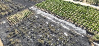 Focare de incendii de vegetație în mai multe raioane ale țării au fost lichidate de pompieri
