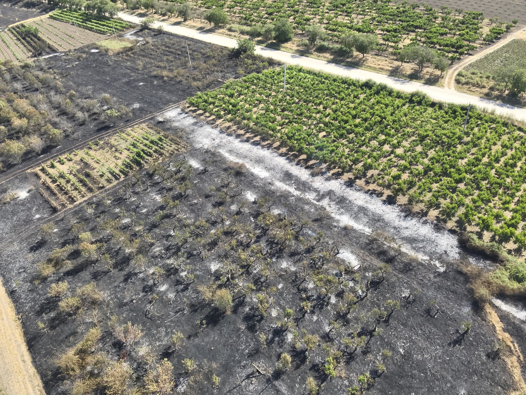 Focare de incendii de vegetație în mai multe raioane ale țării au fost lichidate de pompieri
