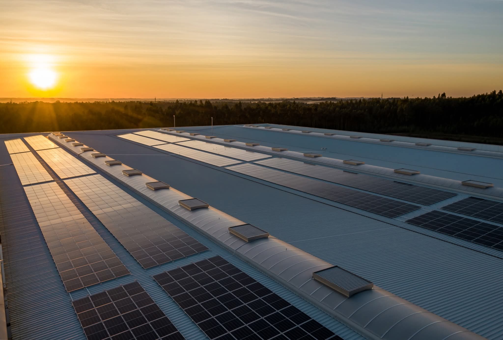 Prosumatorii, inclusiv din domeniul agricol, vor fi remunerați echitabil pentru energia produsă