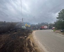 Incendiu de vegetație de proporție la Căușeni: 2 persoane, 200 ha de pădure, 2 case și mai multe construcții auxiliare au fost salvate de pompieri