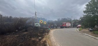 Incendiu de vegetație de proporție la Căușeni: 2 persoane, 200 ha de pădure, 2 case și mai multe construcții auxiliare au fost salvate de pompieri