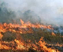 Avertizare de vânt puternic – salvatorii vin cu recomandări