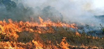 Avertizare de vânt puternic – salvatorii vin cu recomandări
