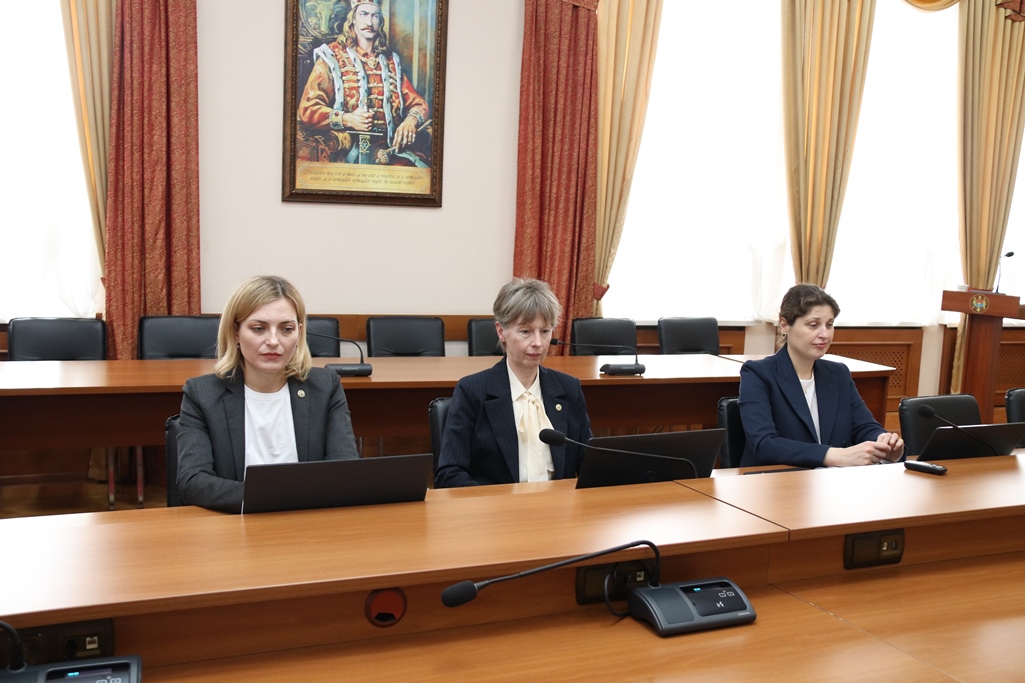 Sinteza constatărilor de audit privind gestiunea financiară a MEC