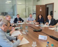 Grupurile de lucru pentru ocrotirea mediului au abordat teme de actualitate în domeniul de referință