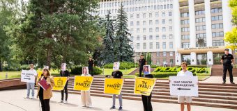 Organizația de tineret a PSRM, „Garda Tânără”, a desfășurat un „flashmob al adevărului” în scuarul din fața clădirii Parlamentului