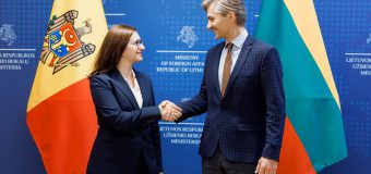Cristina Gherasimov, la Vilnius: Exemplul de transformare a Lituaniei este o sursă din care învățăm în drumul nostru spre UE