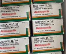 Încă un lot de vaccin antirabic a ajuns în Republica Moldova