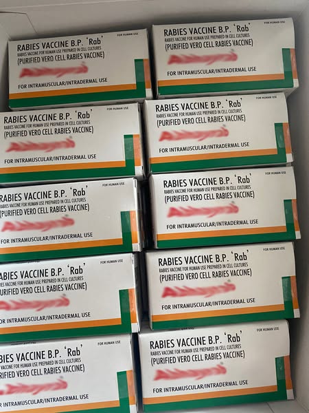 Încă un lot de vaccin antirabic a ajuns în Republica Moldova