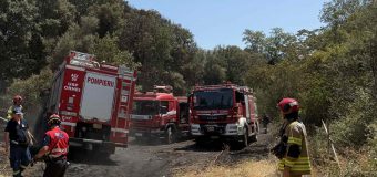 (FOTO) Pompierii moldoveni au intervenit în prima misiune de lichidare a incendiilor în Grecia