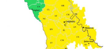 Cod Galben de caniculă