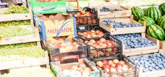 Târguri cu produse autohtone în sectoarele capitalei, în weekendul: 19 – 20 iulie 2025