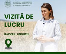 Ministra Agriculturii în vizită de lucru la Ungheni