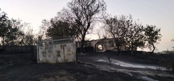 11 ore de luptă cu flăcările. Focul a mistuit 25 hectare de vegetație uscată