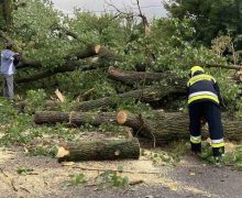 Lanuri cu grâu, livezi, dar și terenuri cultivate cu legume – afectate de ploaia de ieri