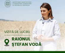 Ministra Agriculturii are o vizită de lucru la Ștefan Vodă