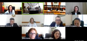 Curtea de Conturi constată deficiențe în administrarea veniturilor bugetare de către Serviciul Vamal