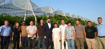 Agrovoltaicele și biogazul, discutate de miniștrii energiei și Agriculturii cu antreprenorii agricoli din Costești