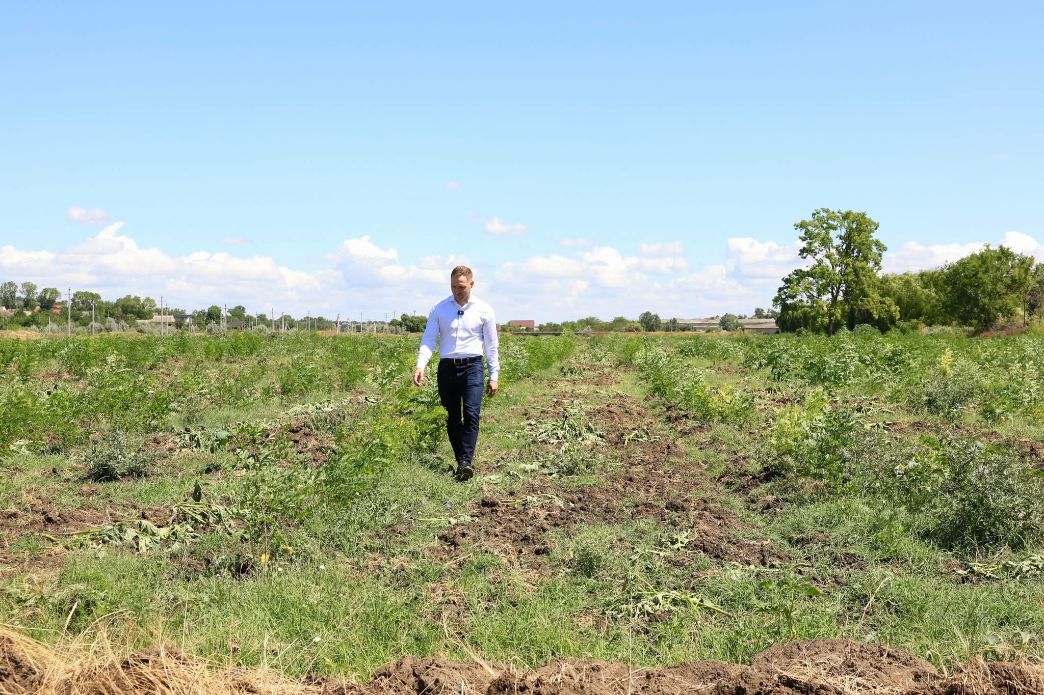 La Cania, pe malul râului Tigheci, prinde viață o pădure de 9 hectare