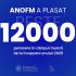 Peste 12 000 persoane – încadrate în câmpul muncii de la începutul anului