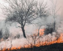 Pompierii atenționează repetat cetățenii despre pericolul incendiilor de vegetație