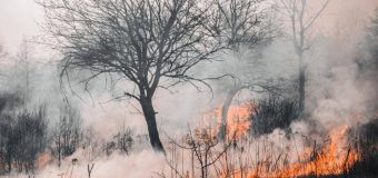 Pompierii atenționează repetat cetățenii despre pericolul incendiilor de vegetație