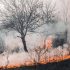 Pompierii atenționează repetat cetățenii despre pericolul incendiilor de vegetație