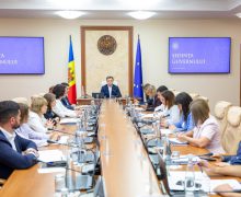 Guvernul a aprobat oferirea statutului de producător eligibil mare pentru mai mulți investitori