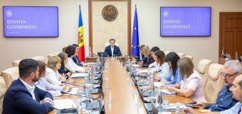 Guvernul a aprobat oferirea statutului de producător eligibil mare pentru mai mulți investitori