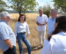 Ministra Agriculturii – în teritoriu. A discutat cu fermieri din sud despre recoltele compromise