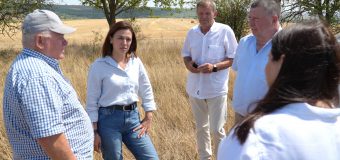 Ministra Agriculturii – în teritoriu. A discutat cu fermieri din sud despre recoltele compromise