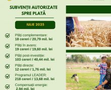 În luna iulie, au fost autorizate spre plată subvenții în valoare totală de 96,27 mln. lei