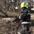 IGSU a intervenit la defrișarea arborilor căzuți după intensificările de vânt