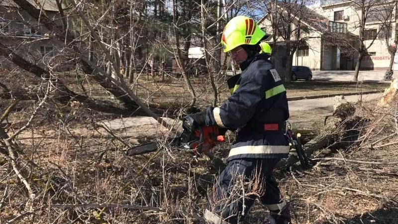 IGSU a intervenit la defrișarea arborilor căzuți după intensificările de vânt
