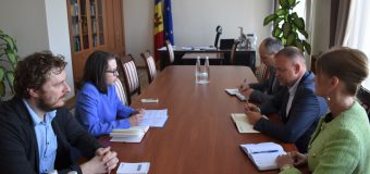 Roman Roșca s-a întâlnit cu șefa Misiunii OSCE în Moldova