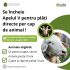 Crescătorii de oi și capre pot solicita plăți directe per cap de animal