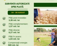 AIPA a autorizat spre plată suma totală de 14,26 mln. lei în prima săptămână din august