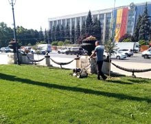 Ambrozia va fi tăiată de pe toate terenurile din Chișinău