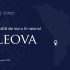 Premierul va avea o vizită de lucru la Leova