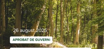 Măsuri noi pentru protecția pădurilor de boli și dăunătorilor, aprobate de Guvern