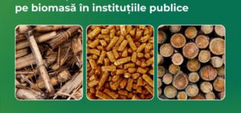 Circa 64% din gospodăriile casnice din Moldova se încălzesc în continuare cu lemne de foc în sobe cu randament termic redus