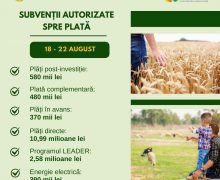 AIPA a autorizat spre plată un volum total de 15 mln. lei săptămâna trecută